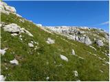 Planina Blato - Vodnikov Vršac (Vršac nad Zadnjico)